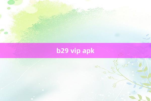 b29 vip apk