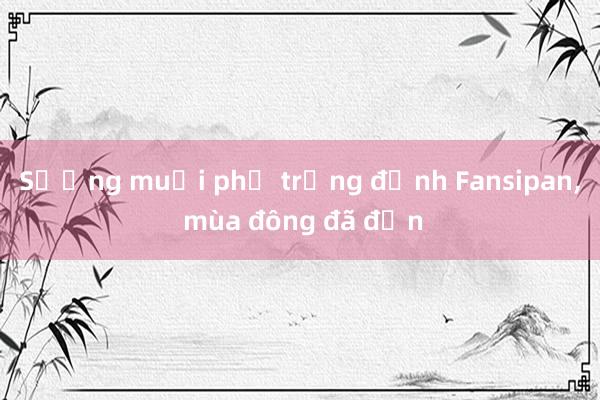 Sương muối phủ trắng đỉnh Fansipan， mùa đông đã đến